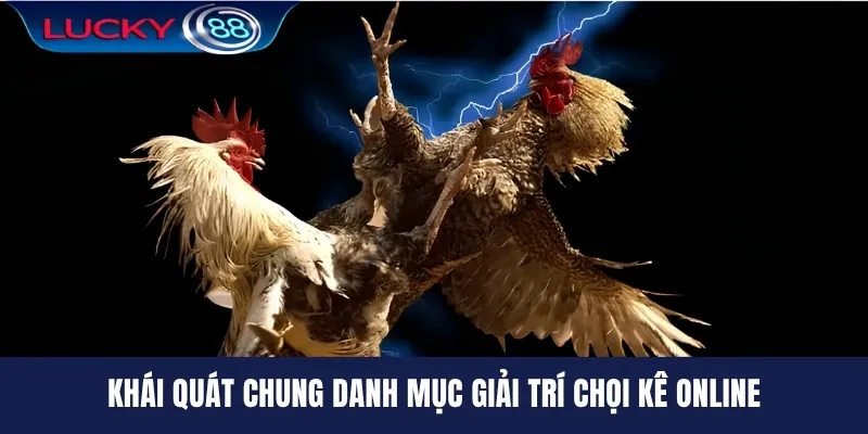 Khái quát chung danh mục giải trí chọi kê online